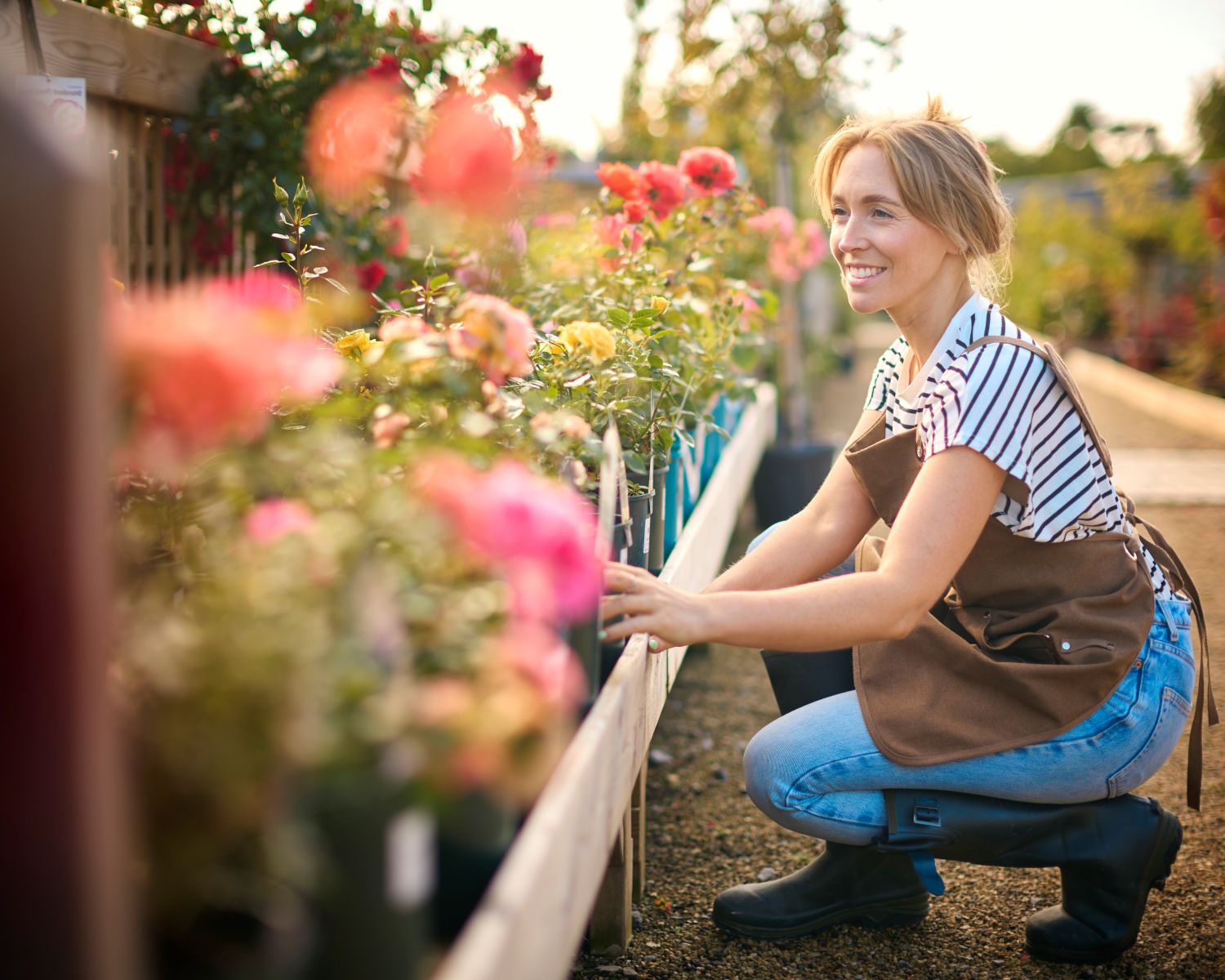 A guide to simple steps for landscaping your garden.