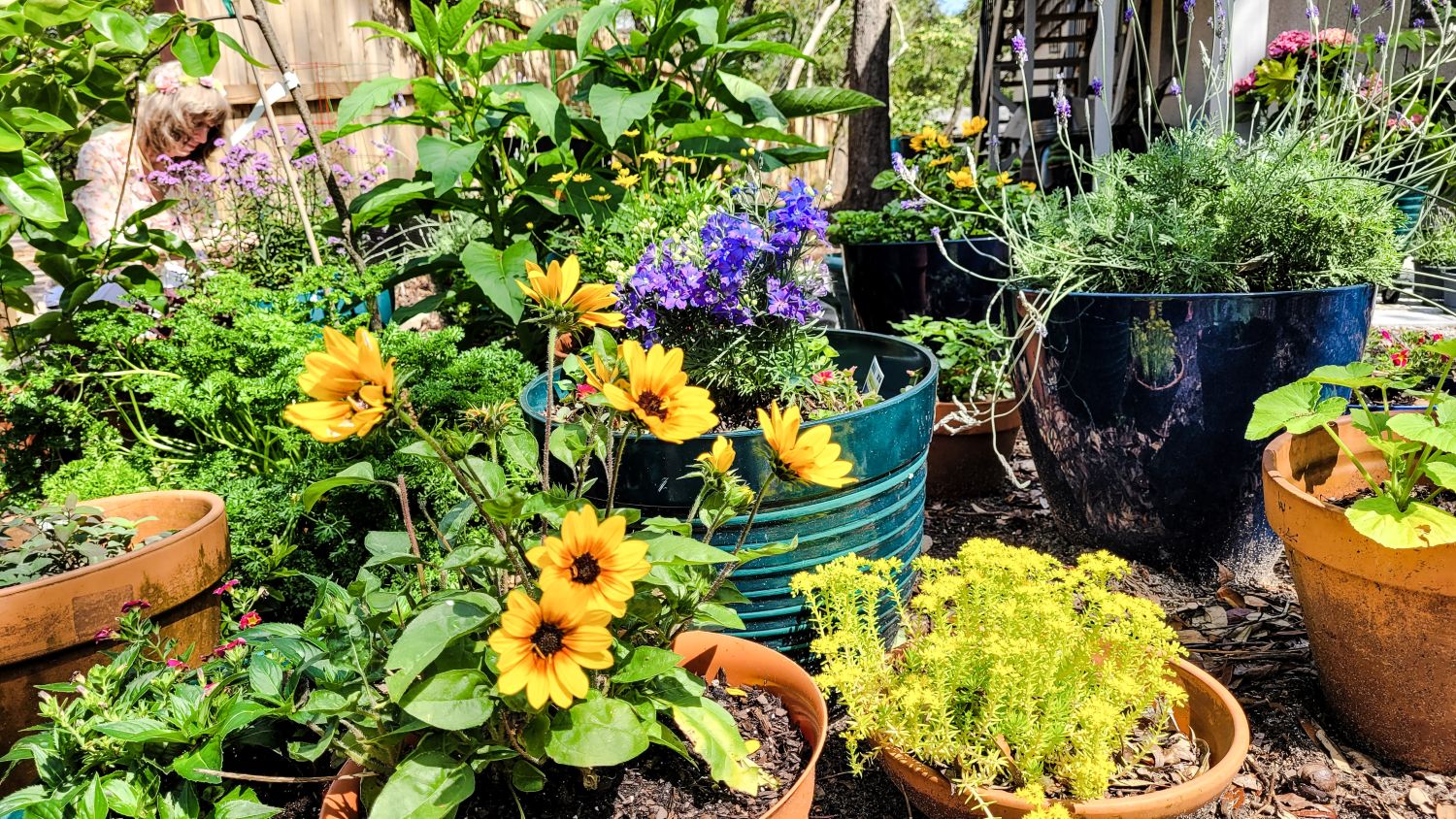 Container gardening