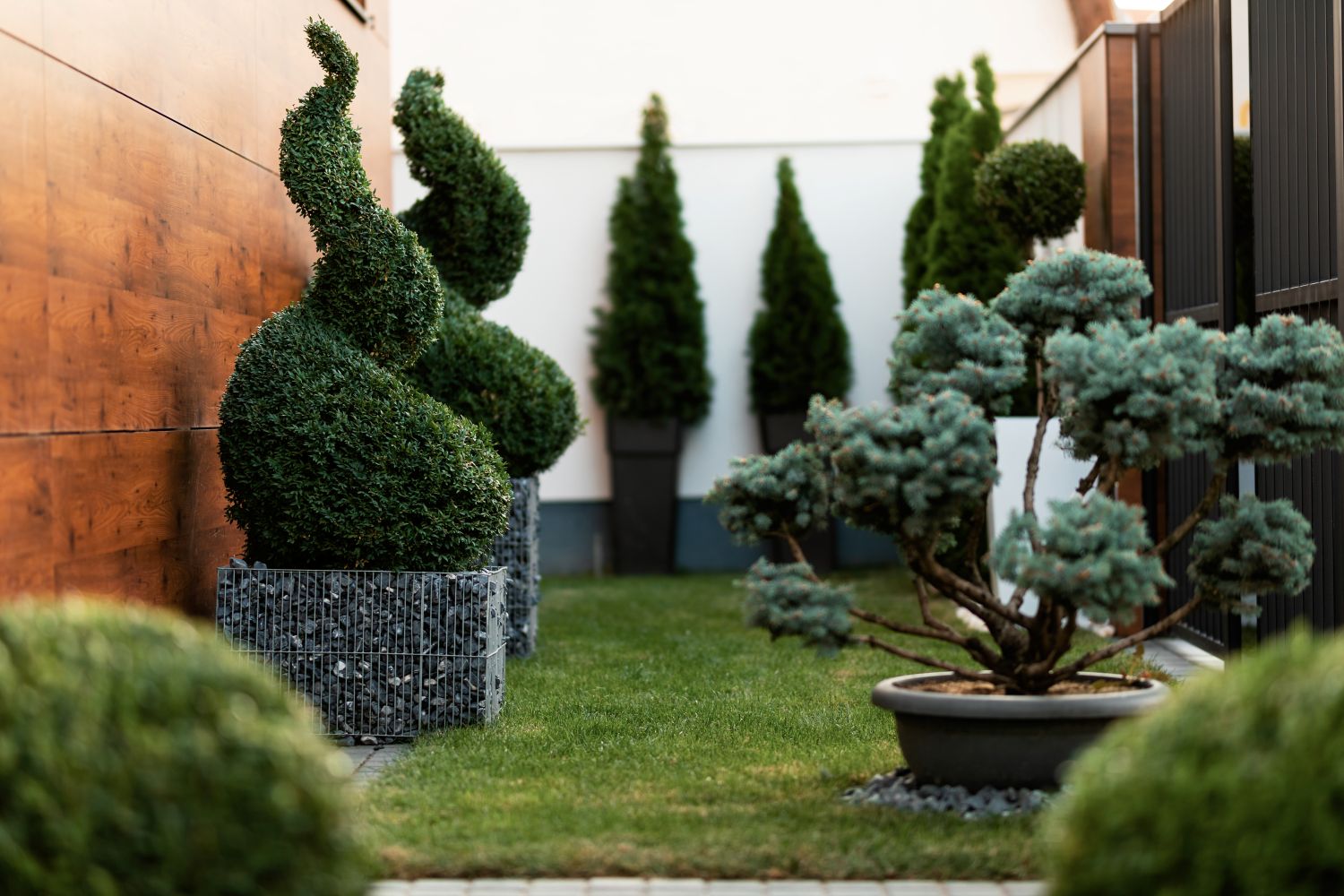 Landscaping featuring ornamental plants