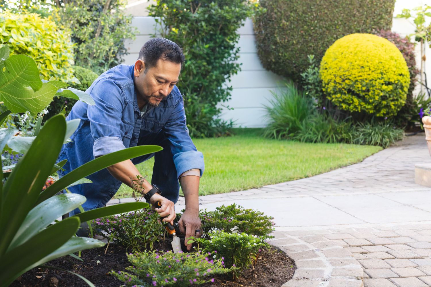 What are the benefits of landscaping